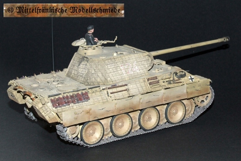 pz5asp03.jpg (99654 Byte)