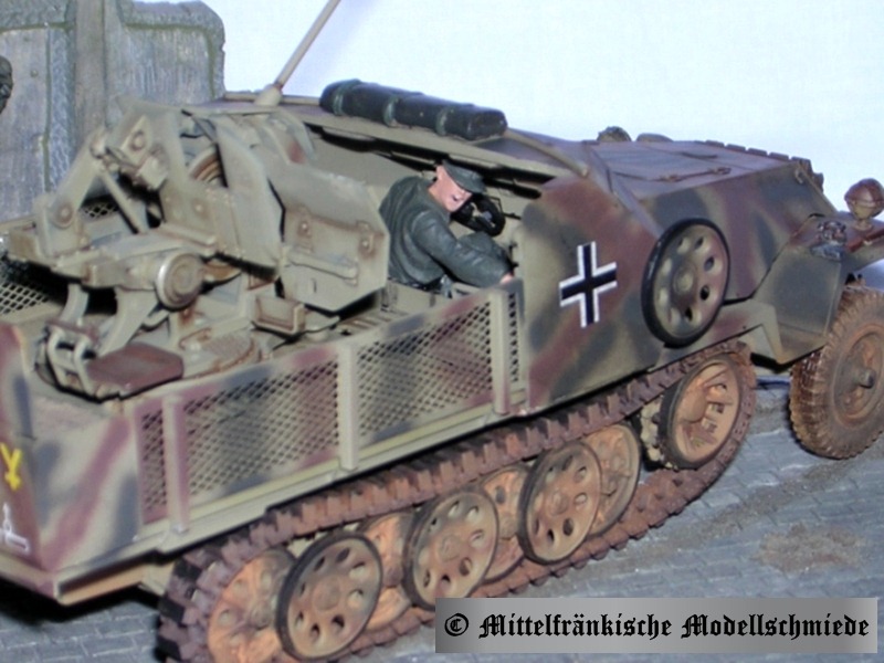 sdkfz251172.jpg (101772 Byte)